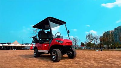 Pictures of our electric cars in operation at parks