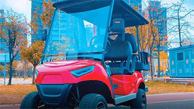 Details of our golf carts