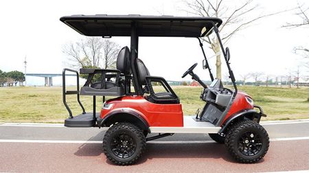 2+2 Passenger Electric Golf Cart