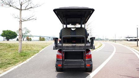 2+2 Passenger Electric Golf Cart