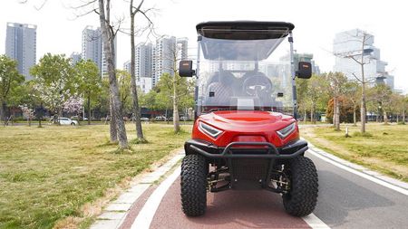 2+2 Passenger Electric Golf Cart