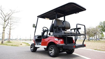 2+2 Passenger Electric Golf Cart