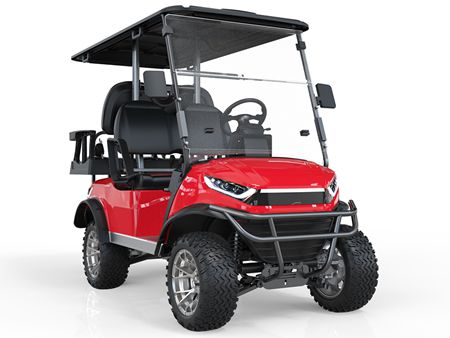 2+2 Passenger Electric Golf Cart
