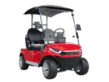 2 Passenger Electric Golf Cart