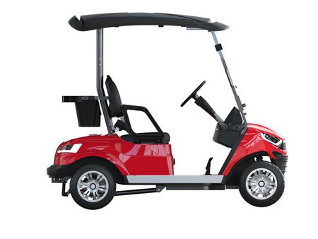 2 Passenger Electric Golf Cart