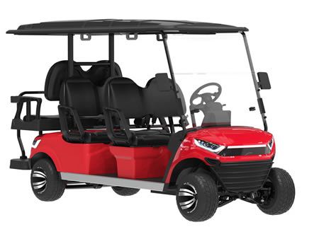 4+2 Passenger Electric Golf Cart