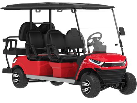 4+2 Passenger Electric Golf Cart