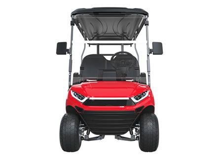 6 Passenger Electric Golf Cart