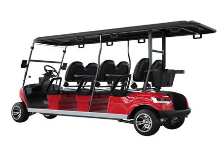 6 Passenger Electric Golf Cart