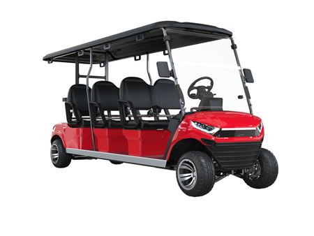 6 Passenger Electric Golf Cart