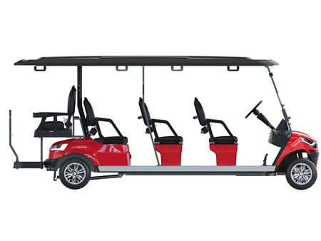 6+2 Passenger Electric Golf Cart