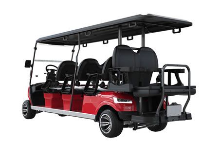 6+2 Passenger Electric Golf Cart