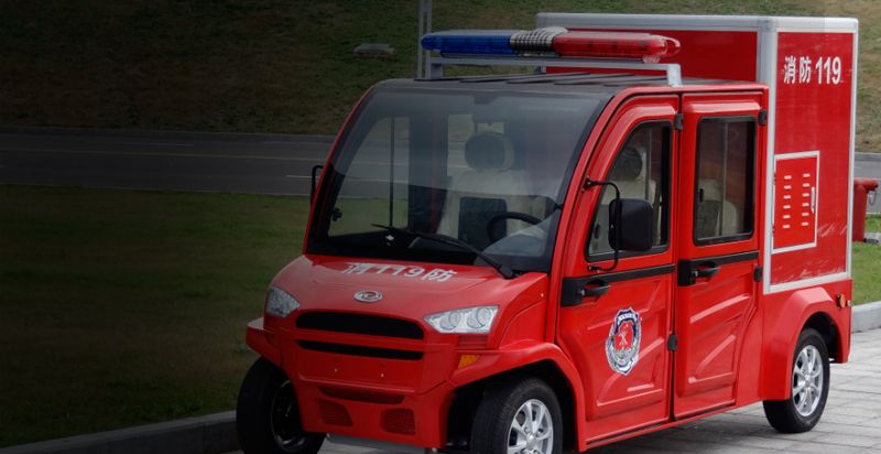 Electric Specialty Vehicle