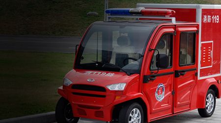 Electric Specialty Vehicl