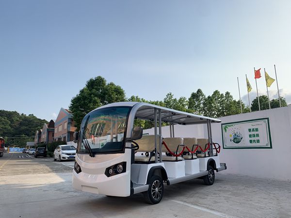 Electric Vehicles for People Transportation